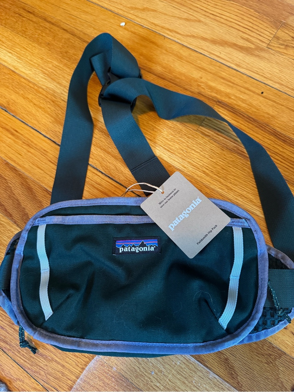 Patagonia Teal Green Belt Bag with Lavender Trim